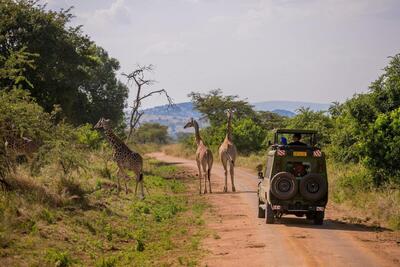 Tourism Services - 12