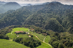 Tourism Services - 10